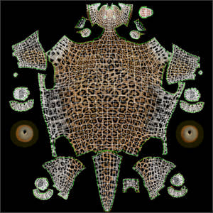 Big Cats 03 3D Model Thumbnail