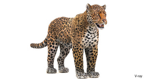 Lifelike Jaguar 3D Model with Fur Thumbnail