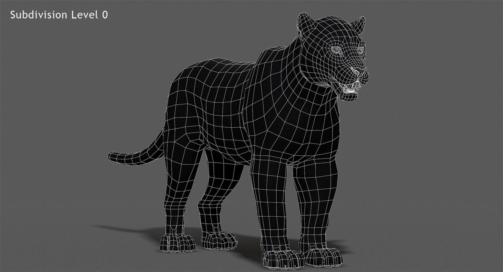 Jaguar 3D Model wireframe view subdivision Level 0