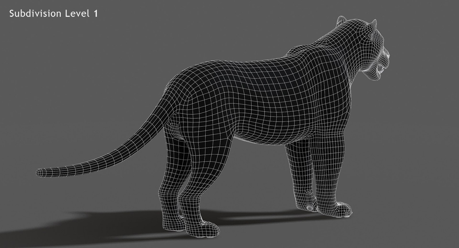 Jaguar 3D Model wireframe view subdivision Level 1