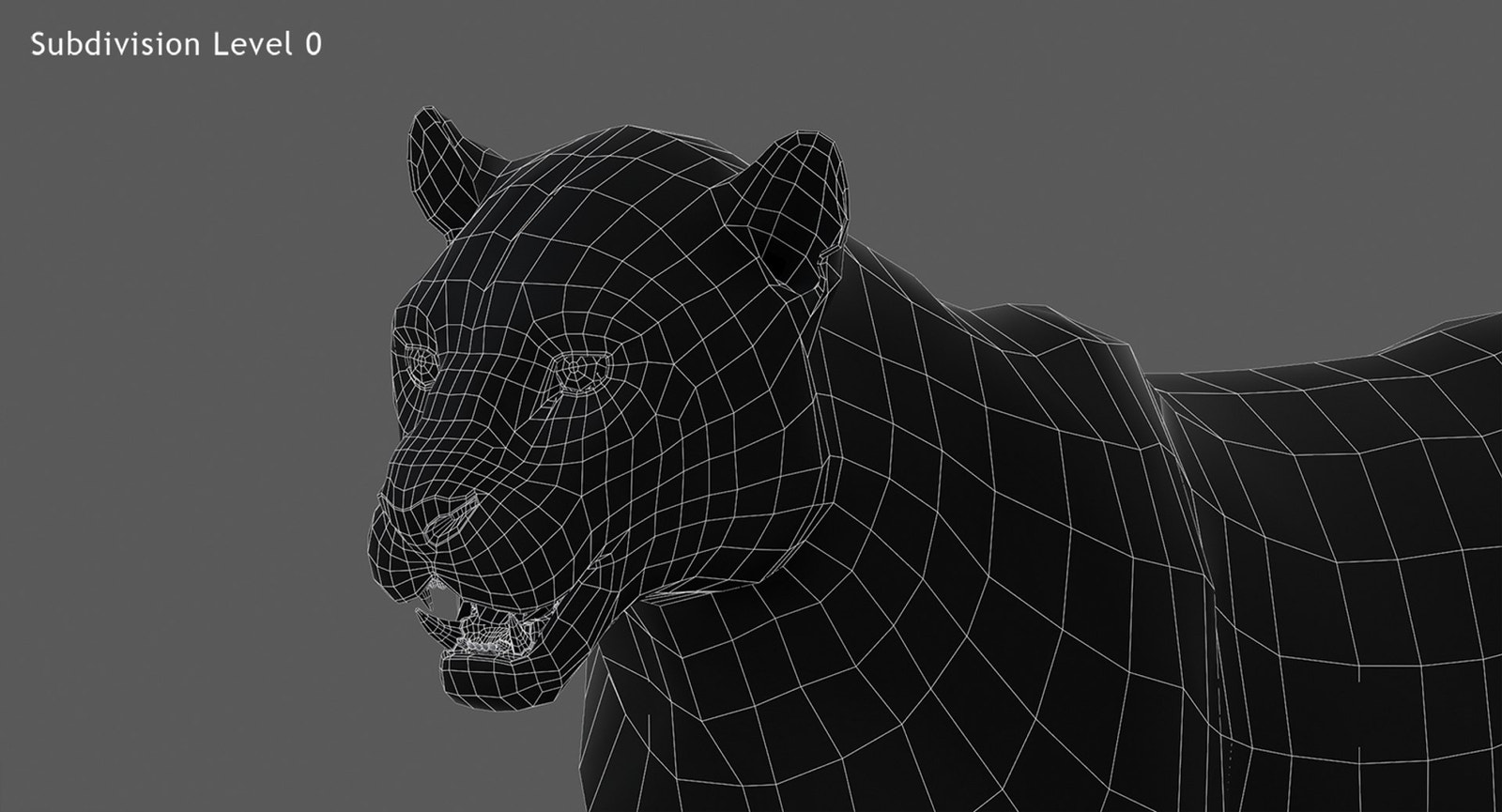 Jaguar 3D Model wireframe view subdivision Level 0