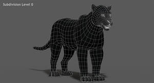 Big Cats 03 3D Model Thumbnail