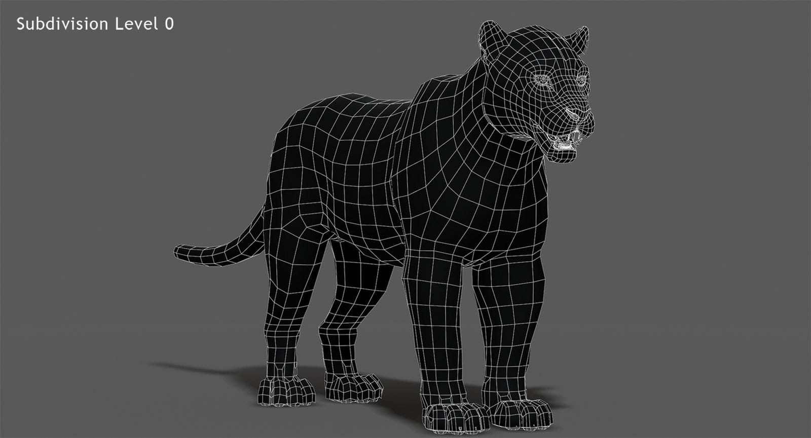 Big Cats 03 3D Model