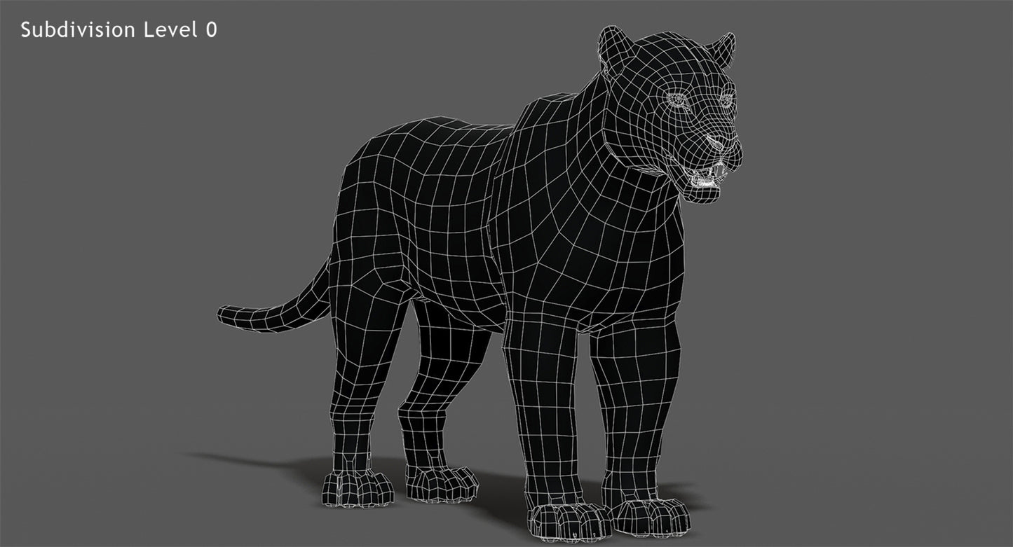 Big Cats 03 3D Model