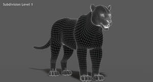 Big Cats 03 3D Model Thumbnail