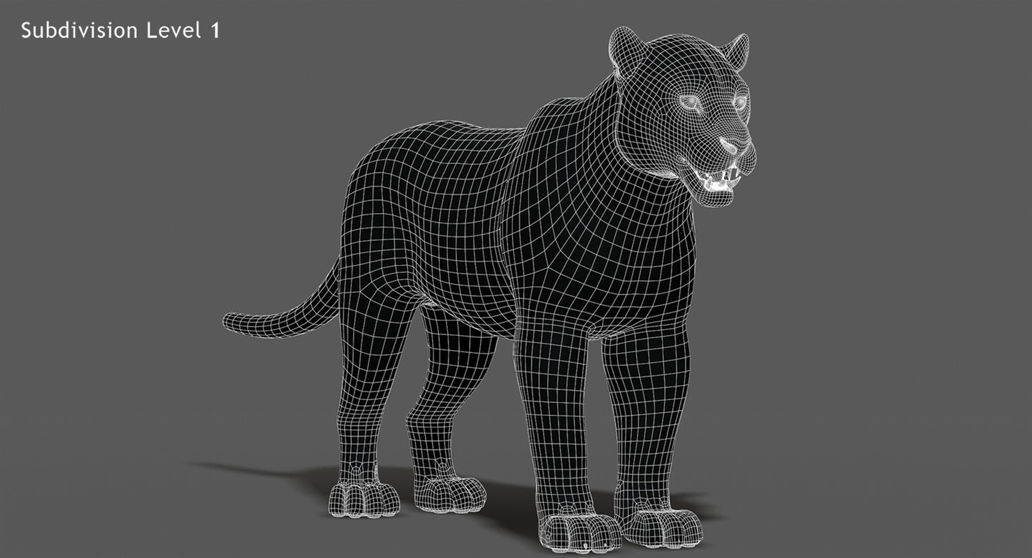 Big Cats 03 3D Model