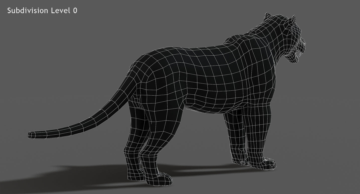 Big Cats 03 3D Model
