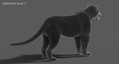 Big Cats 03 3D Model