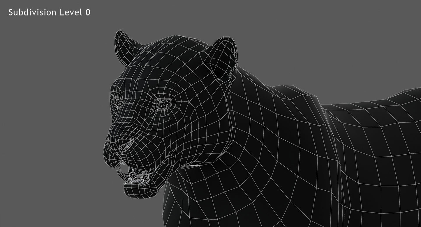 Big Cats 03 3D Model