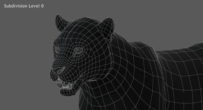 Big Cats 03 3D Model