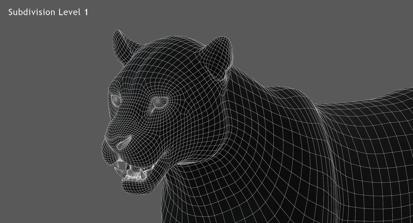 Big Cats 03 3D Model