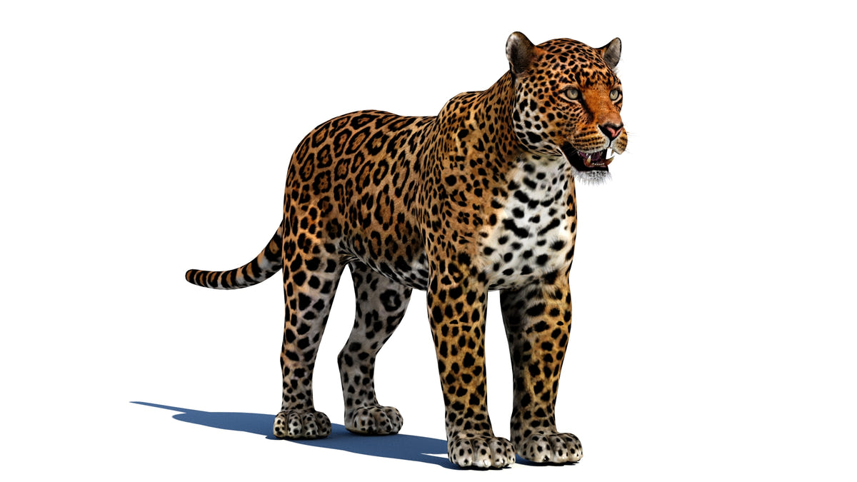 Game-Ready Jaguar 3D Model - 3ds Max / Maya
