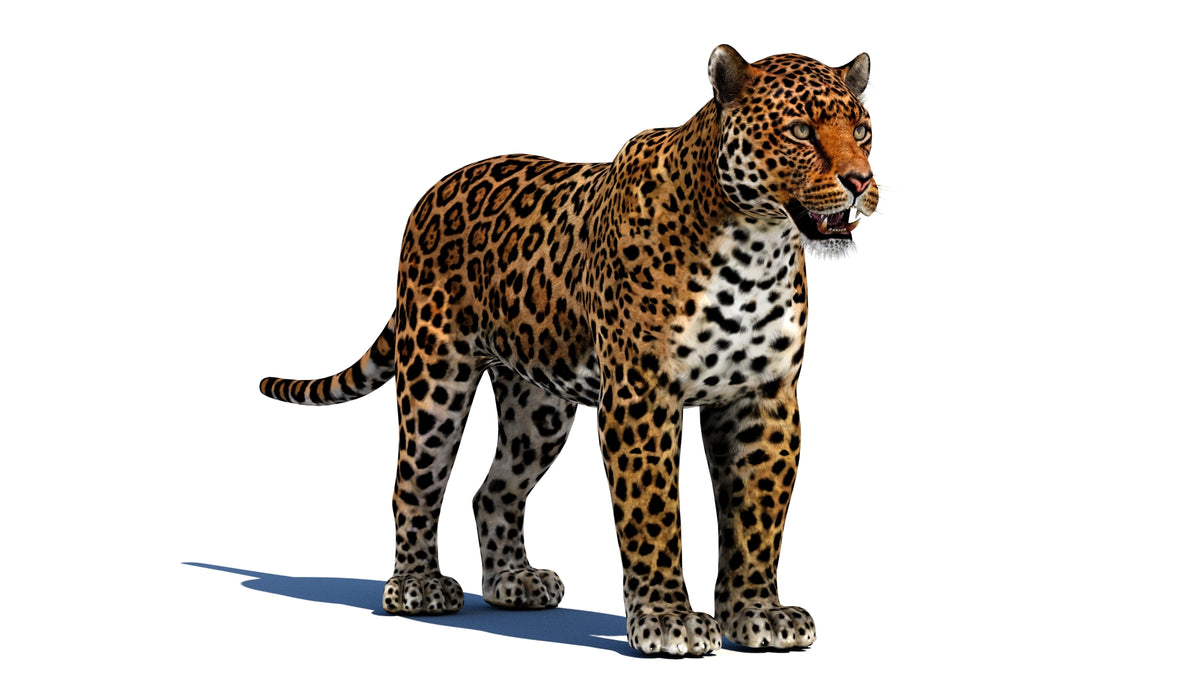 Game-Ready Jaguar 3D Model - 3ds Max / Maya