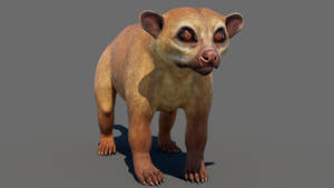 Kinkajou 3D Model for Download Thumbnail
