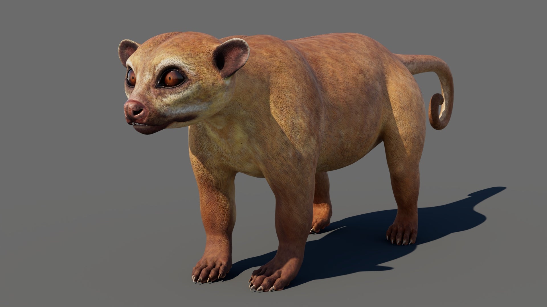 Game-ready Kinkajou 3D Model for Download
