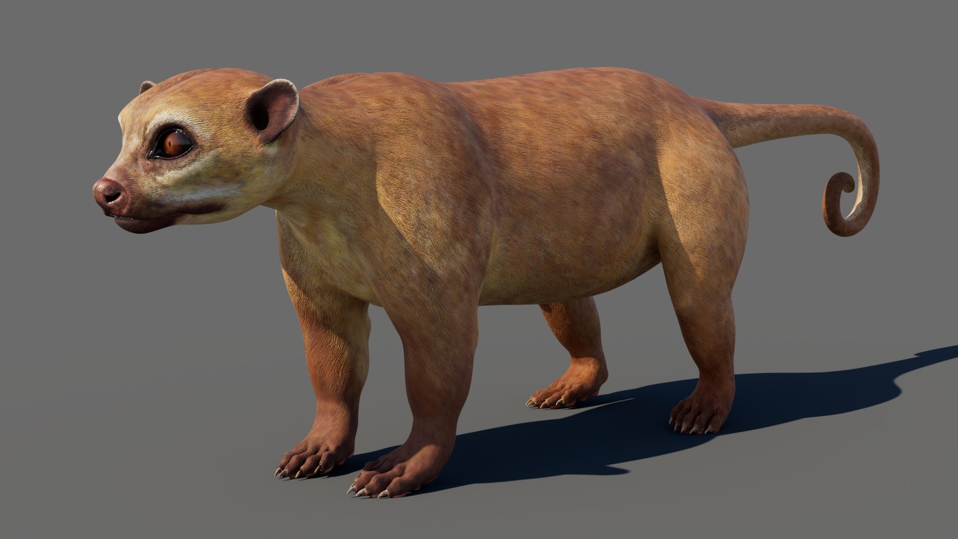 Game-ready Kinkajou 3D Model for Download