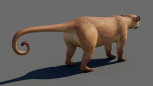 Game-ready Kinkajou 3D Model for Download Thumbnail