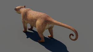 Game-ready Kinkajou 3D Model for Download Thumbnail