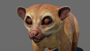 Kinkajou 3D Model for Game Thumbnail