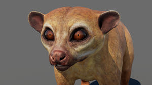 Kinkajou 3D Model for Game Thumbnail