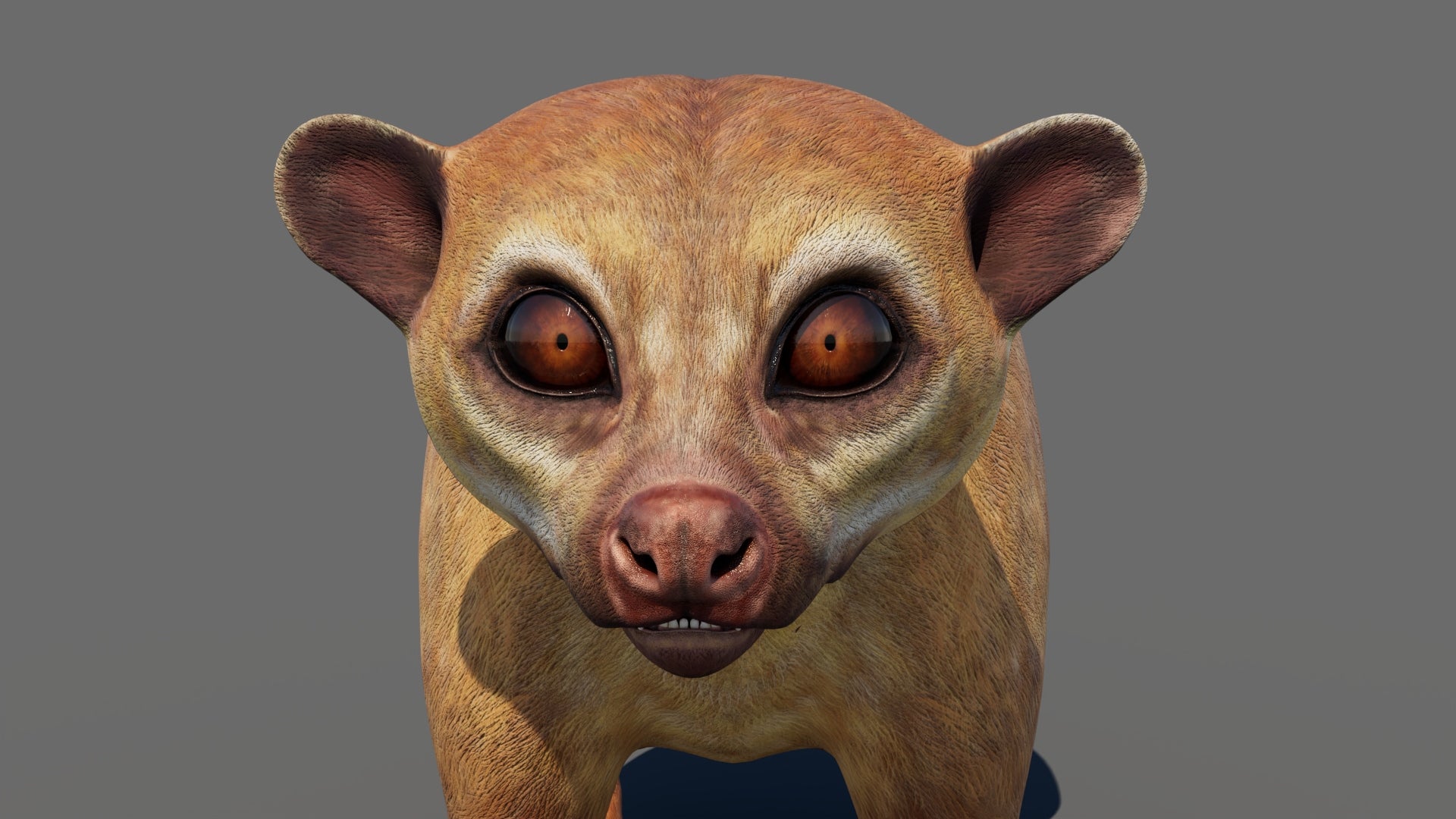 Kinkajou 3D Model for Game
