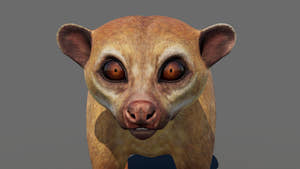 Kinkajou 3D Model for Game Thumbnail
