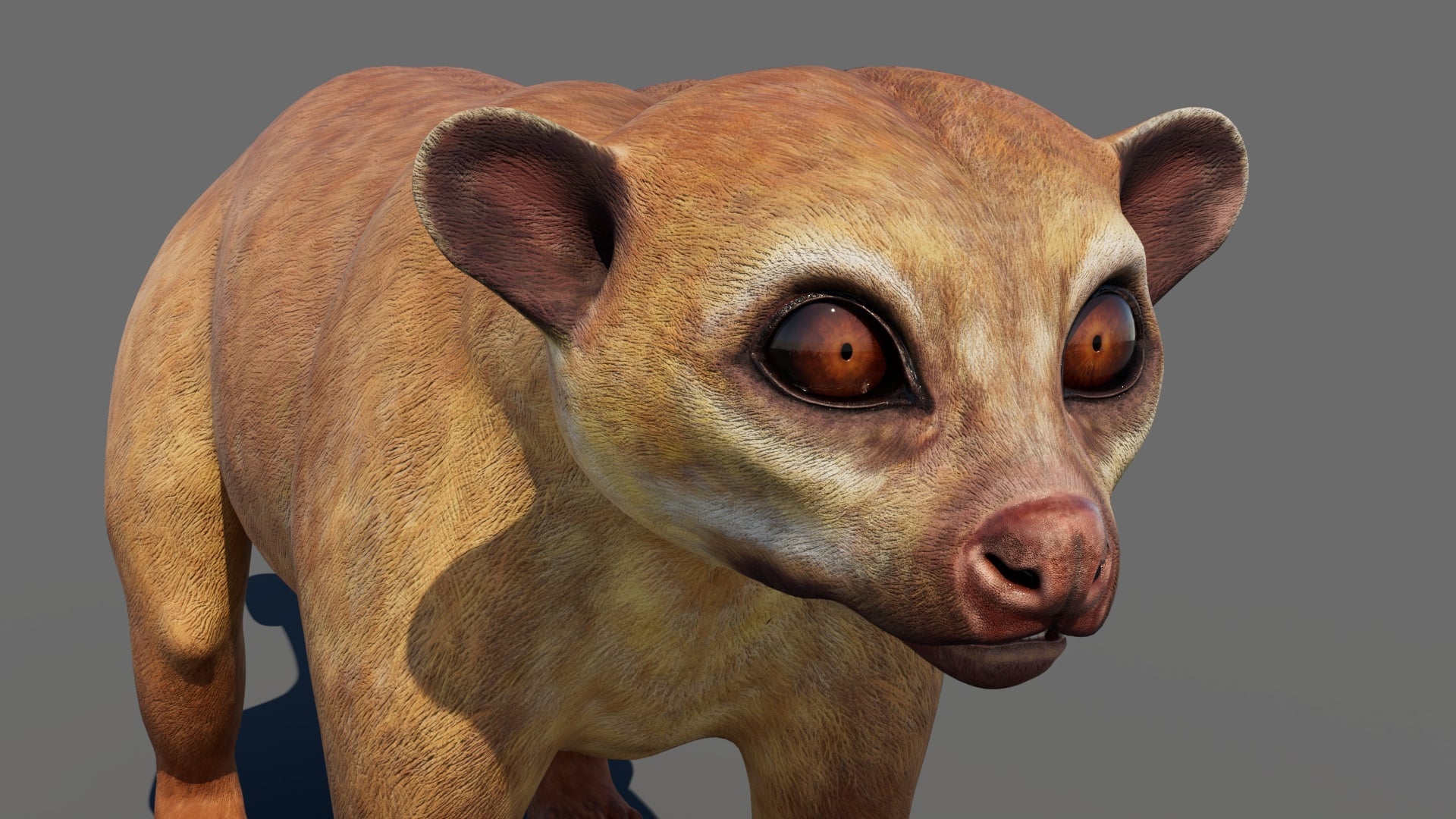 Kinkajou 3D Model for Game