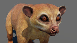 Kinkajou 3D Model for Game Thumbnail