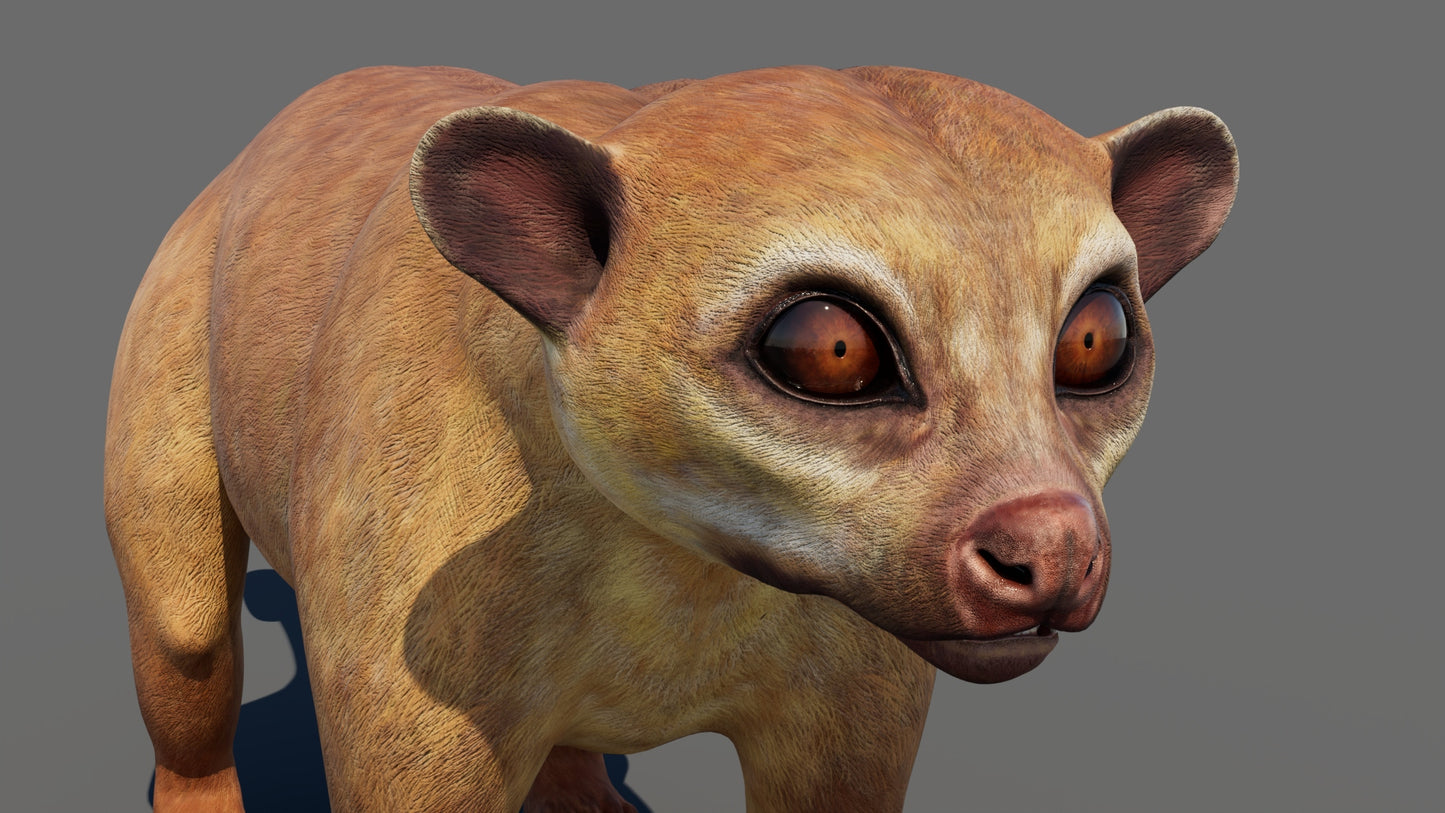 Kinkajou 3D Model for Game