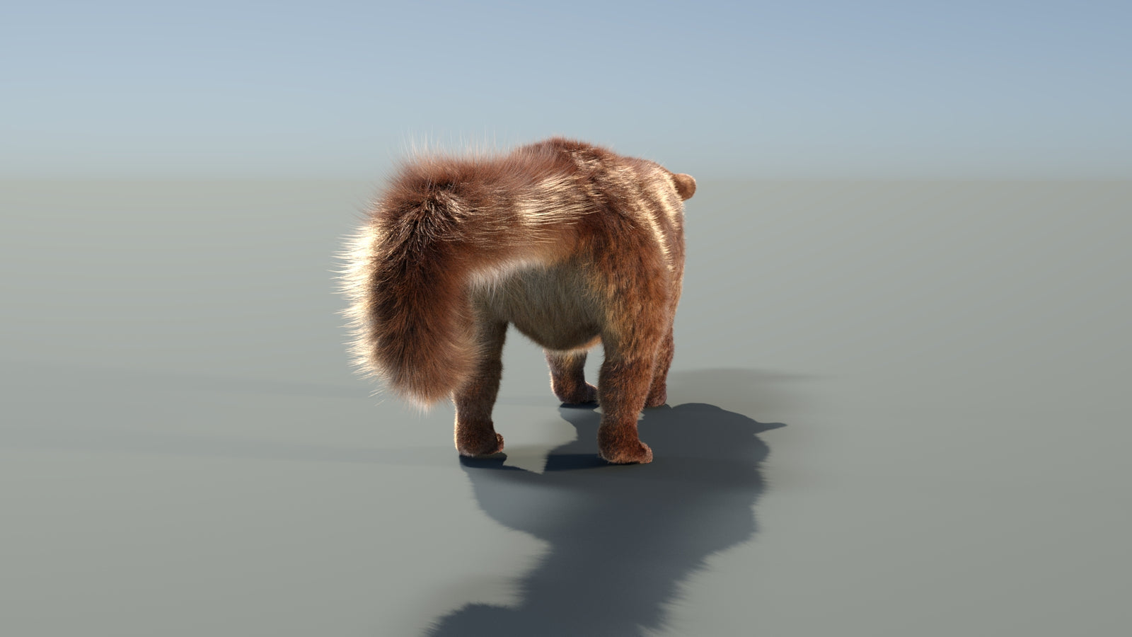Animated Kinkajou 3D Model Fur 360° view 1 frame 25