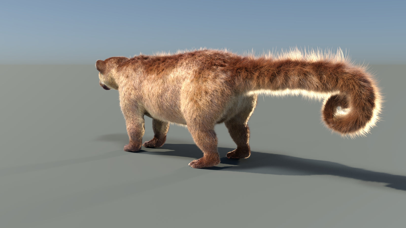 Animated Kinkajou 3D Model Fur 360° view 1 frame 31