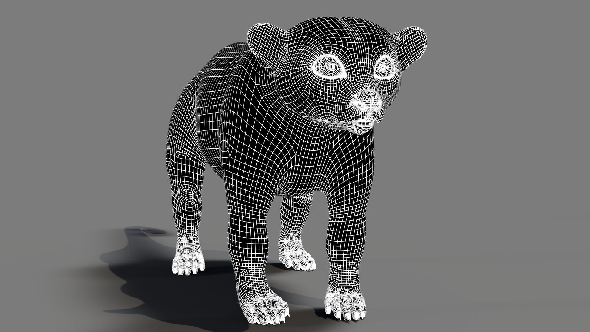 Kinkajou 3D model wireframe view subdivision level 1