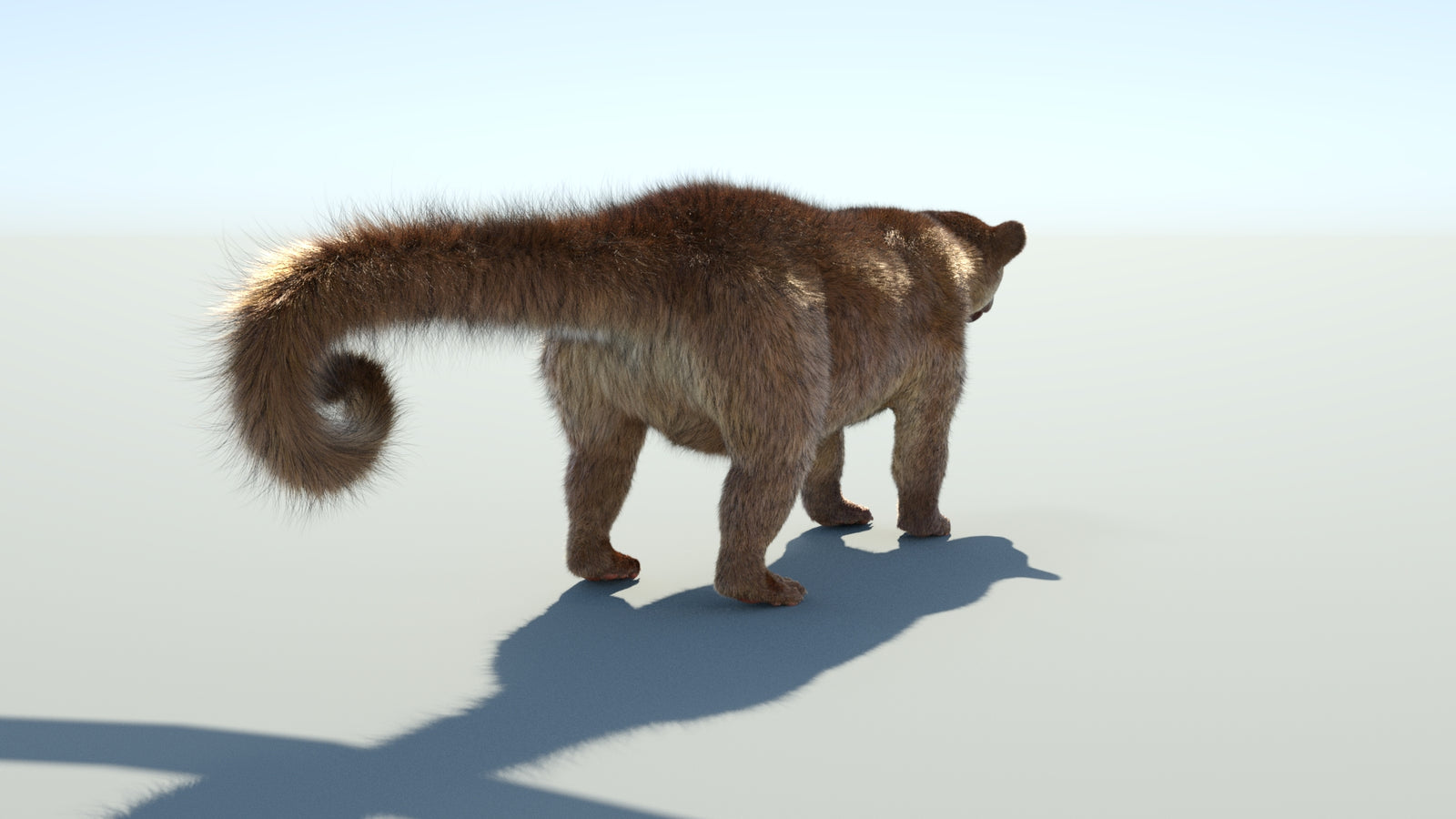 Realistic Kinkajou 3D Model Animated Fur 360° view 1 frame 23