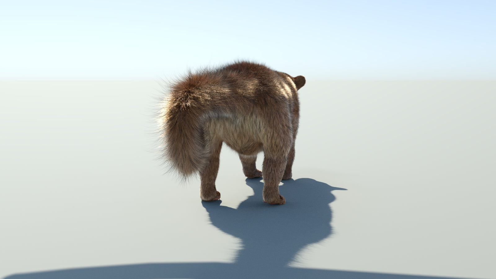 Realistic Kinkajou 3D Model Animated Fur 360° view 1 frame 25