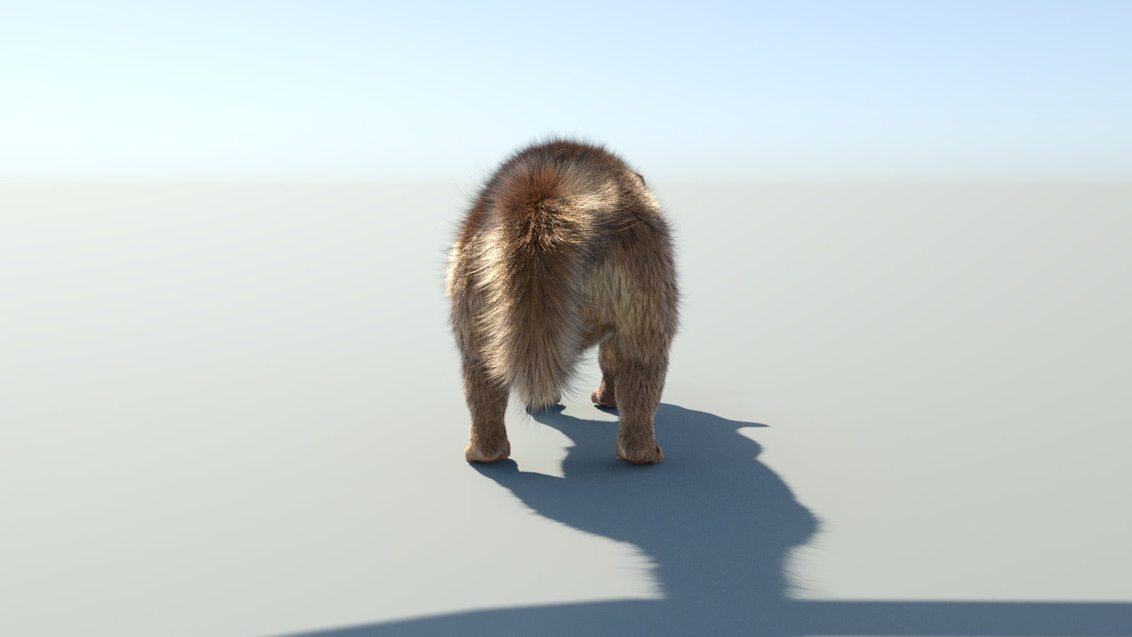 Realistic Kinkajou 3D Model Animated Fur 360° view 1 frame 26