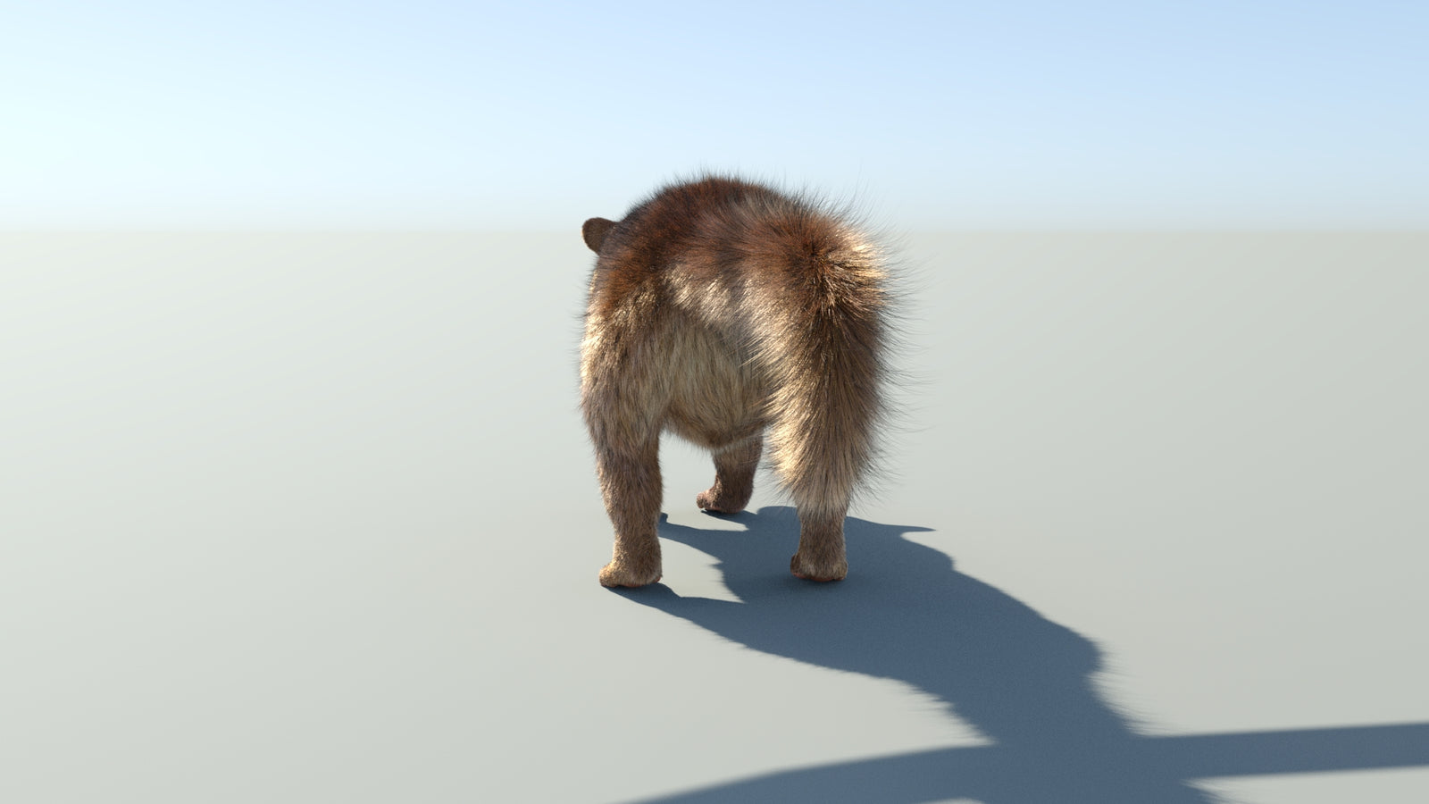 Realistic Kinkajou 3D Model Animated Fur 360° view 1 frame 27