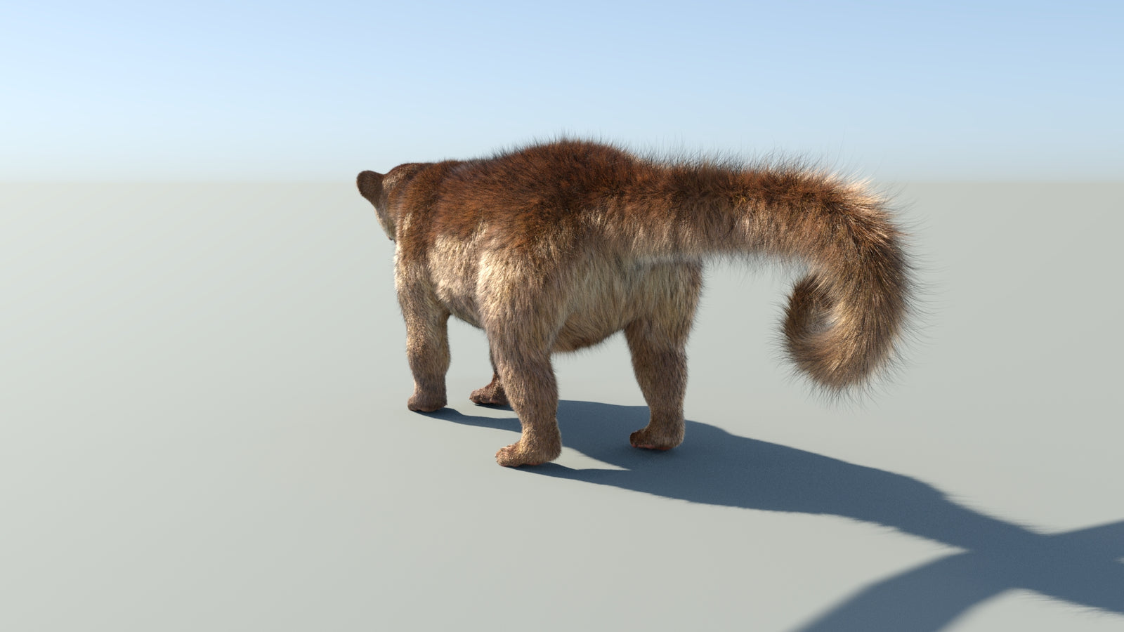 Realistic Kinkajou 3D Model Animated Fur 360° view 1 frame 29