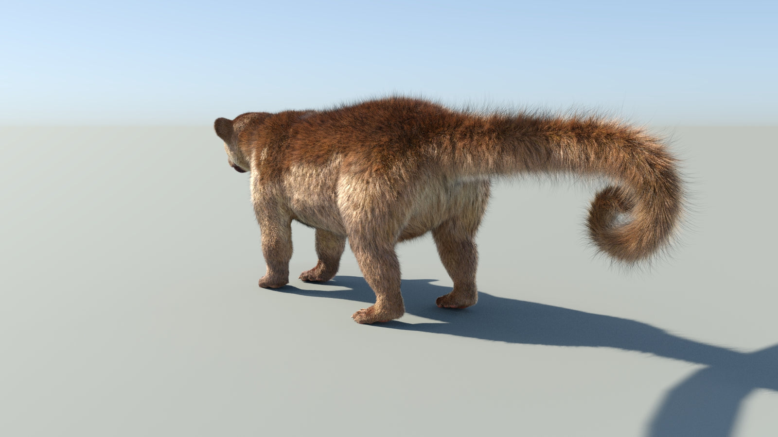 Realistic Kinkajou 3D Model Animated Fur 360° view 1 frame 30