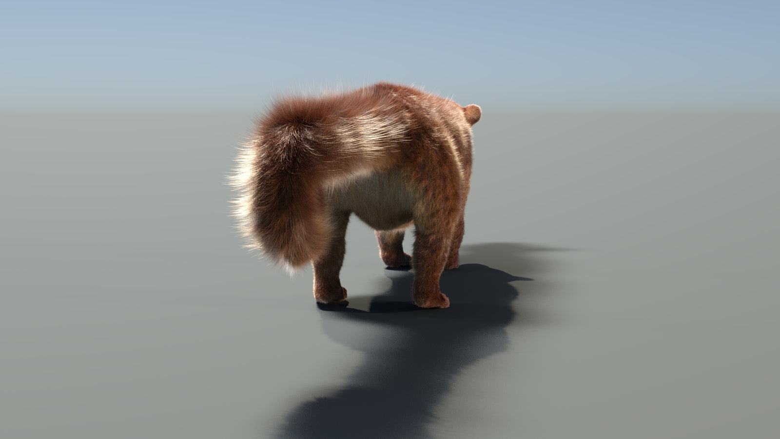 Rigged Kinkajou 3D Model Fur 360° view 1 frame 25