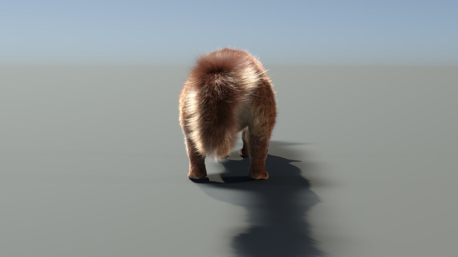 Rigged Kinkajou 3D Model Fur 360° view 1 frame 26