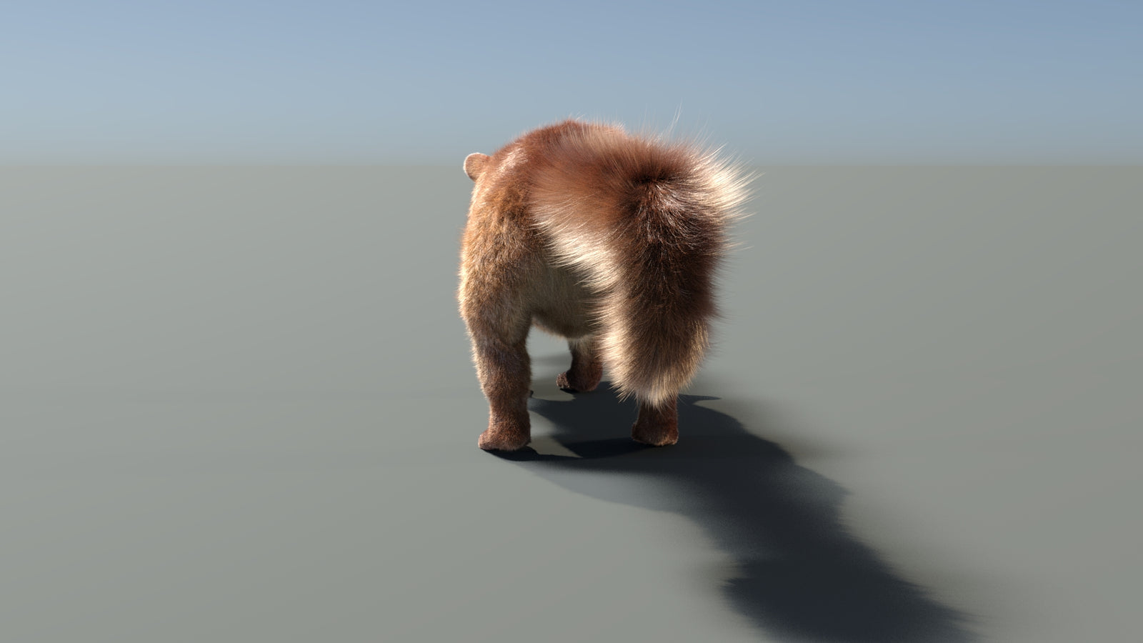 Rigged Kinkajou 3D Model Fur 360° view 1 frame 27
