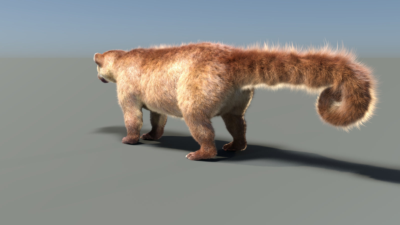 Rigged Kinkajou 3D Model Fur 360° view 1 frame 31