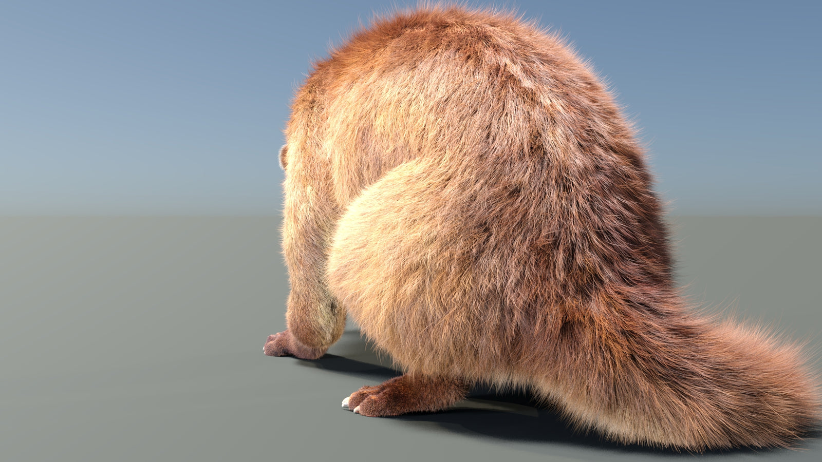 Animated Kinkajou 3D Model Fur 360° view 2 frame 18