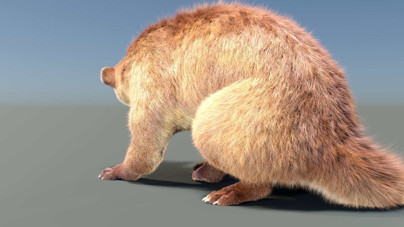 Animated Kinkajou 3D Model Fur 360° view 2 frame 20