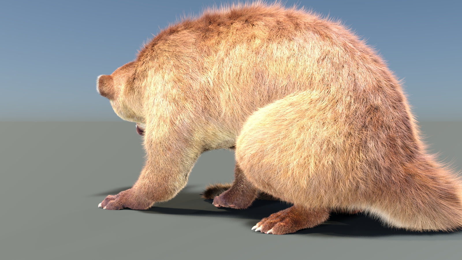 Animated Kinkajou 3D Model Fur 360° view 2 frame 21