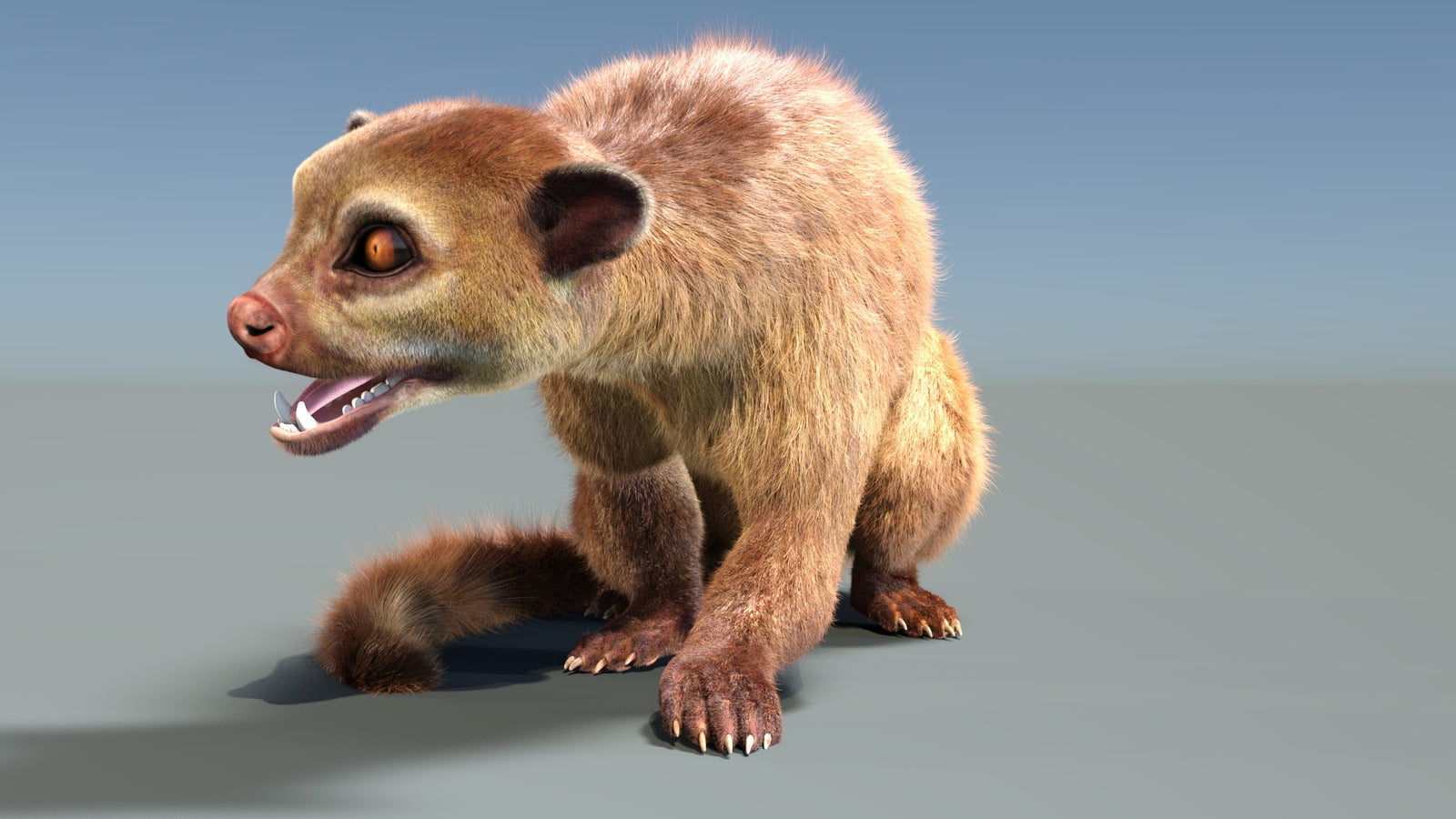 Animated Kinkajou 3D Model Fur 360° view 2 frame 31
