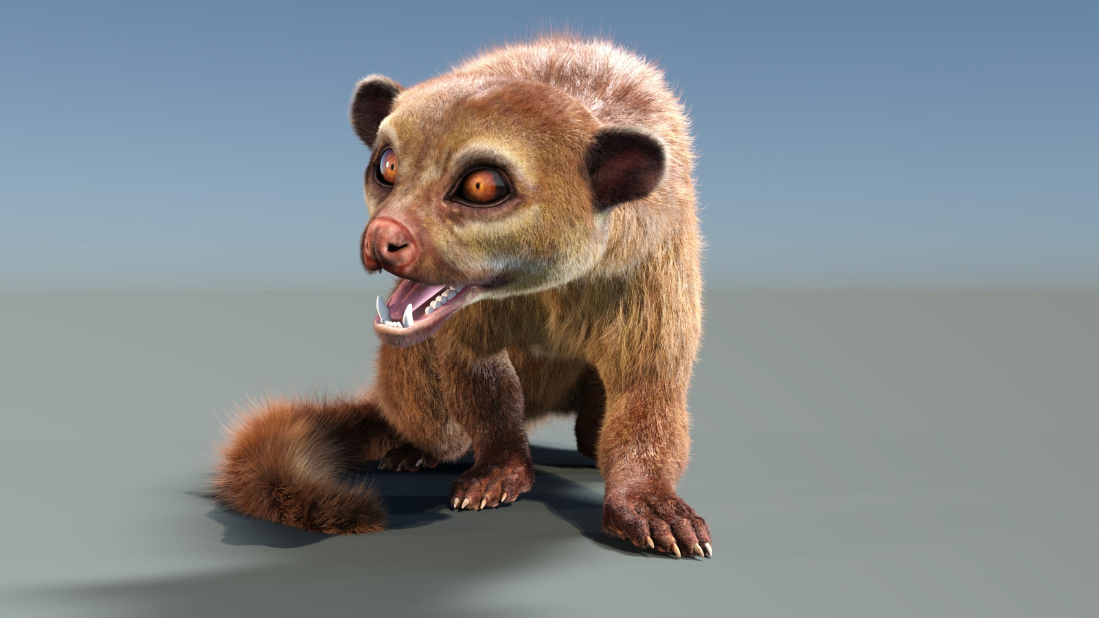 Animated Kinkajou 3D Model Fur 360° view 2 frame 33