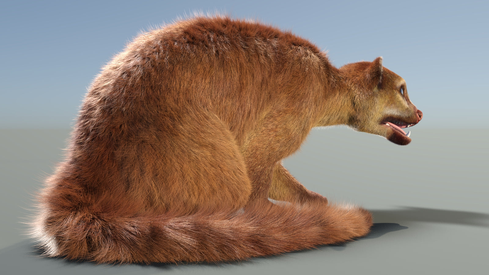 Rigged Kinkajou 3D Model Fur 360° view 2 frame 10