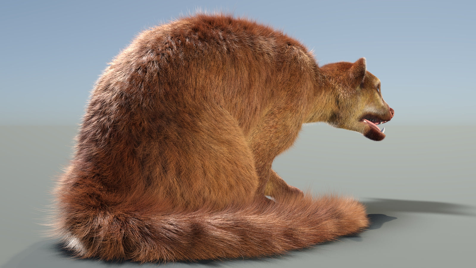 Rigged Kinkajou 3D Model Fur 360° view 2 frame 11