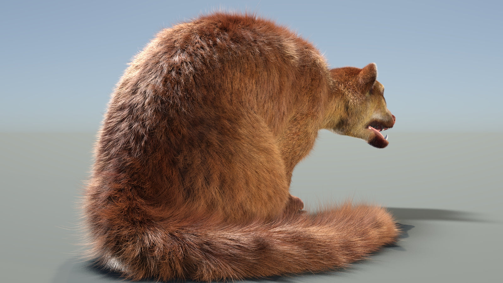 Rigged Kinkajou 3D Model Fur 360° view 2 frame 12